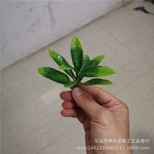 仿真植物塑料水草配件 草坪草地板草 篱笆装饰绿色小草大量批发