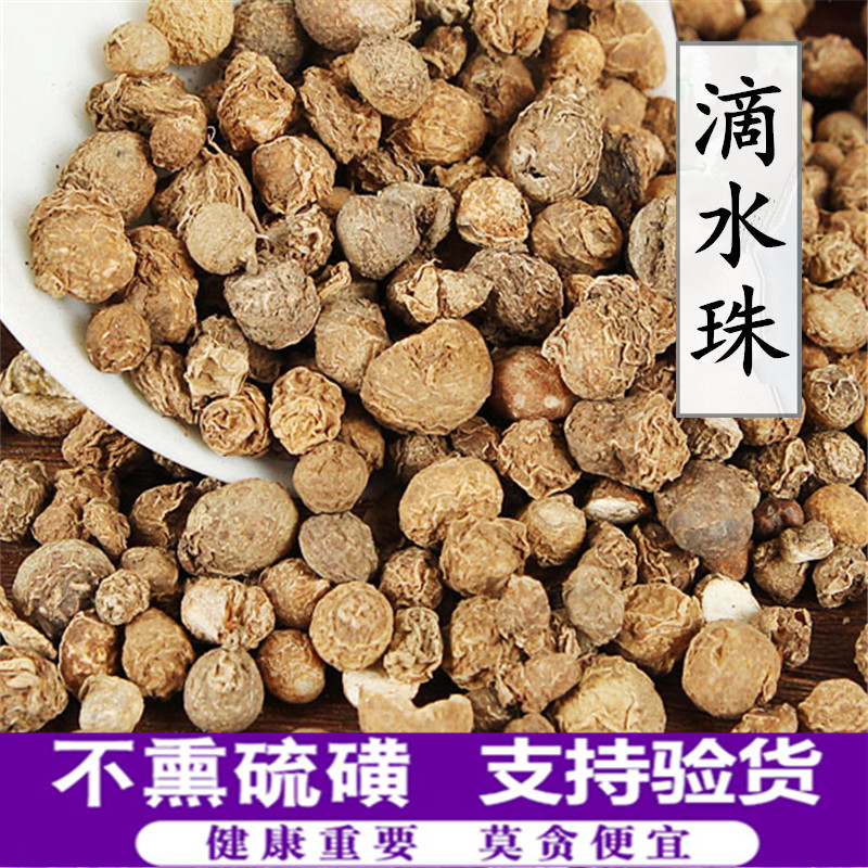 中药材滴水珠独龙珠一粒珠品种齐全支持药检承接订单