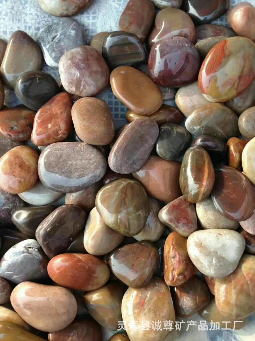 大量批发园艺造景多肉装饰铺面用五彩石水处理绘画用鹅卵石