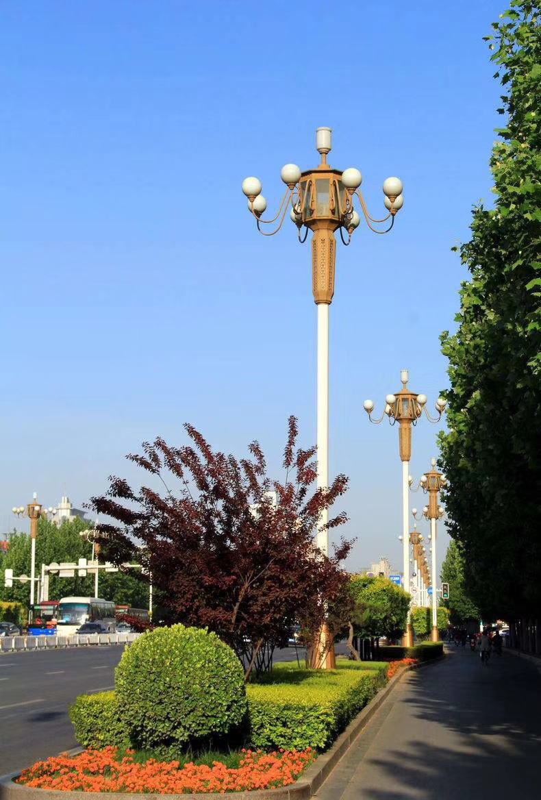 中华灯玉兰灯户外防水5-12m多头景观灯定制led广场组合道路照明灯-阿