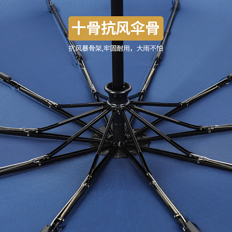 Umbrella Wholesale 10-Bone Automatic Folding Umbrella Men's Sun-Proof Double No. plus-Sized Umbrella Customization