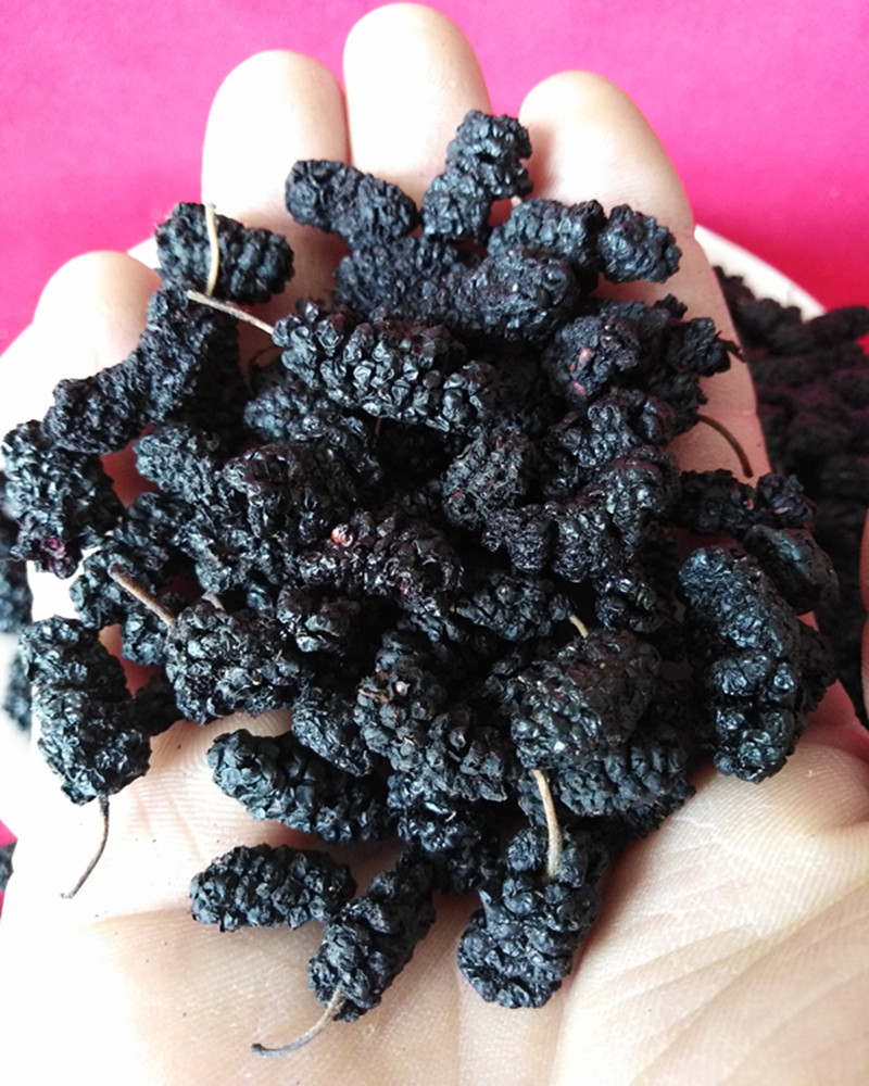 农家手摘 桑葚子 桑葚干 散装500克