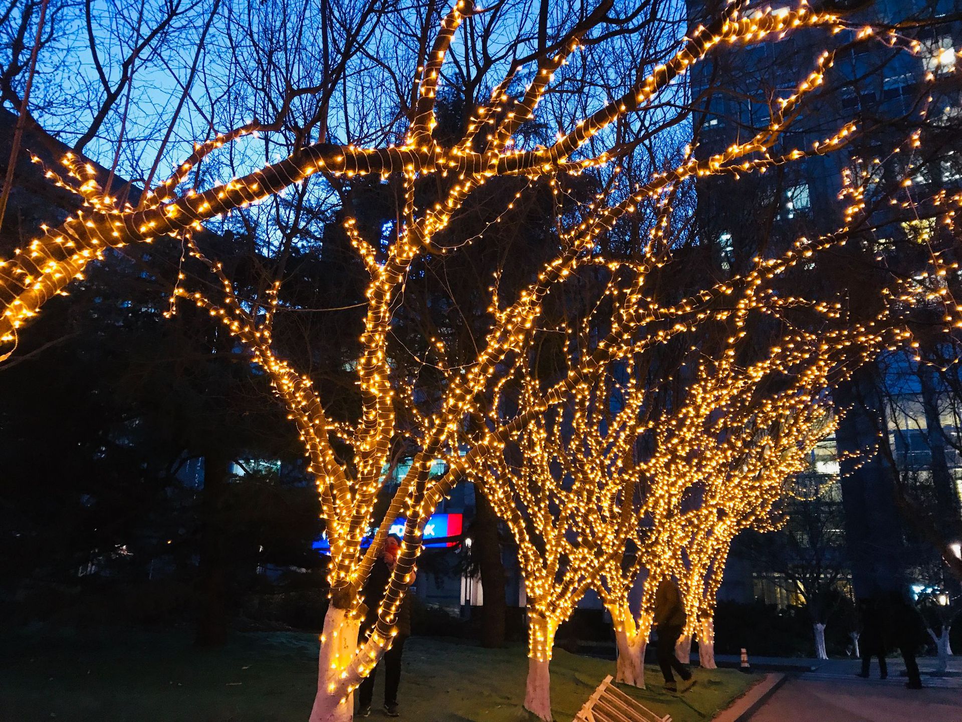 北京春节装饰led灯串 过年灯光节灯光秀商场街道灯串缠树亮化工程