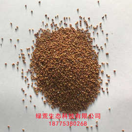 边坡绿化防护 草籽 紫花苜蓿 矿山复绿 荒坡治理