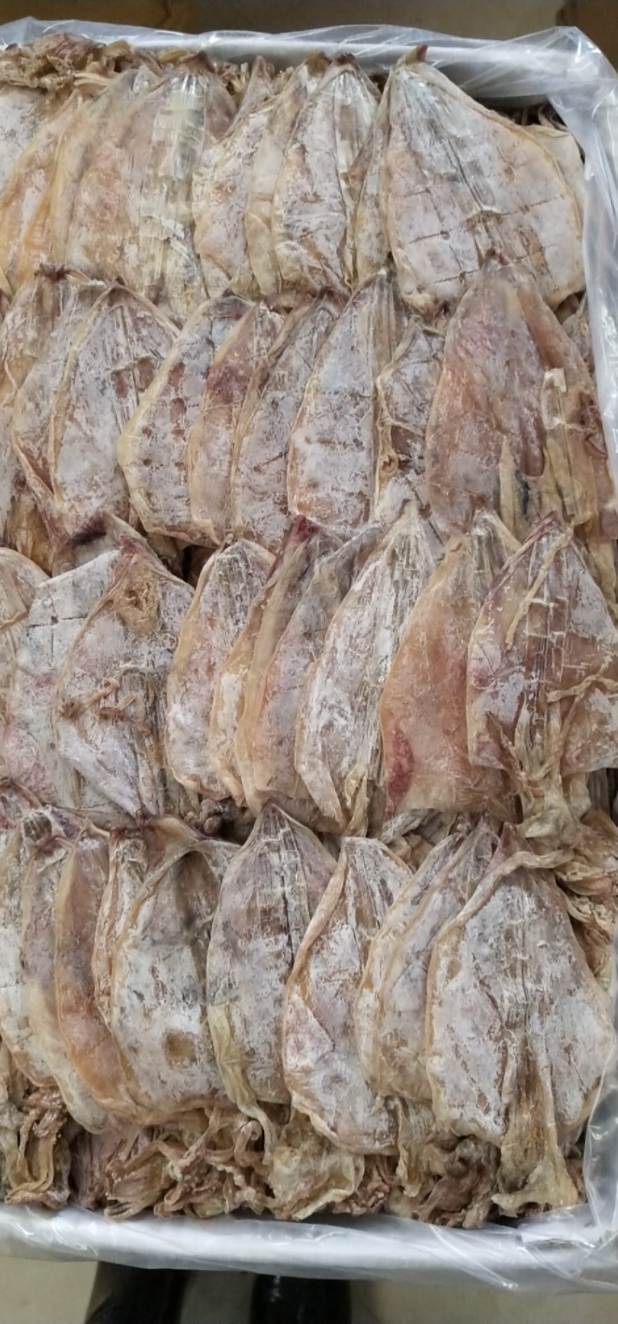 鱿鱼干 越南鱿鱼 烧烤鱿鱼 手撕鱿鱼 鱼干 海鲜干货