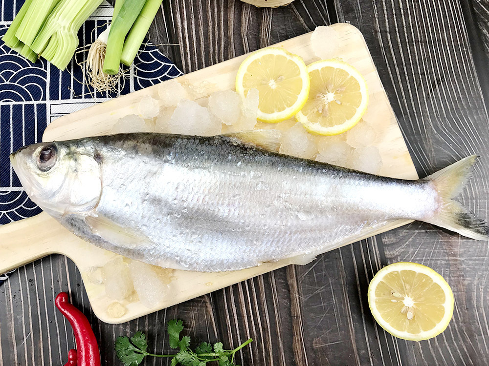 力鱼厂家批发处理力鱼冻鲜冷冻水产海鲜批发厂家现货批发