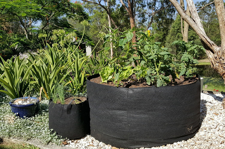 毛毡种植桶 无纺布美植袋育苗袋植树袋 土豆生长袋植物袋种植袋