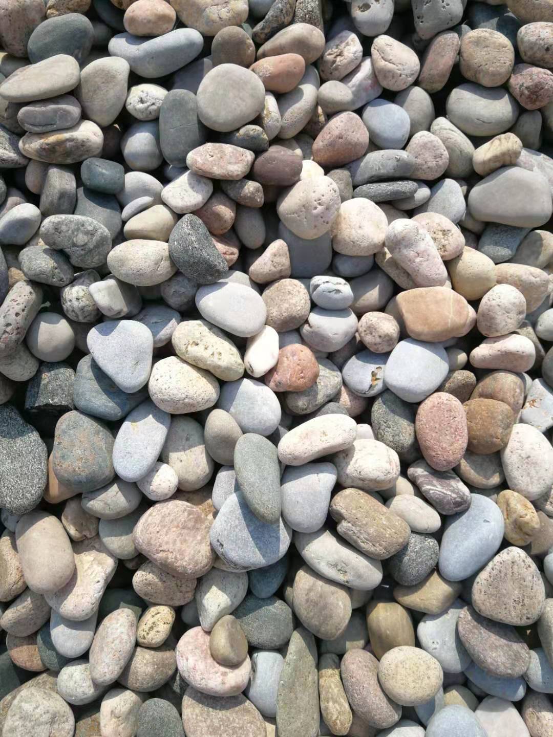 山东青岛鹅卵石水处理鹅卵石 河卵石