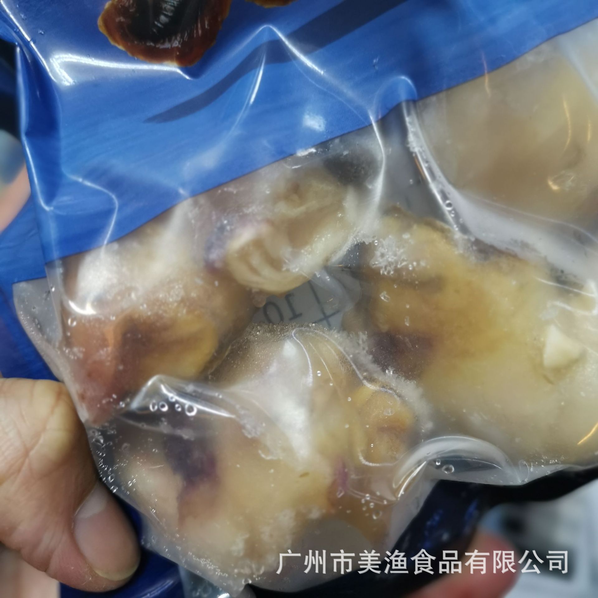 大西洋响螺 美国螺头 海鲜 冻品千手螺田螺海螺肉7-9规格 500g/包