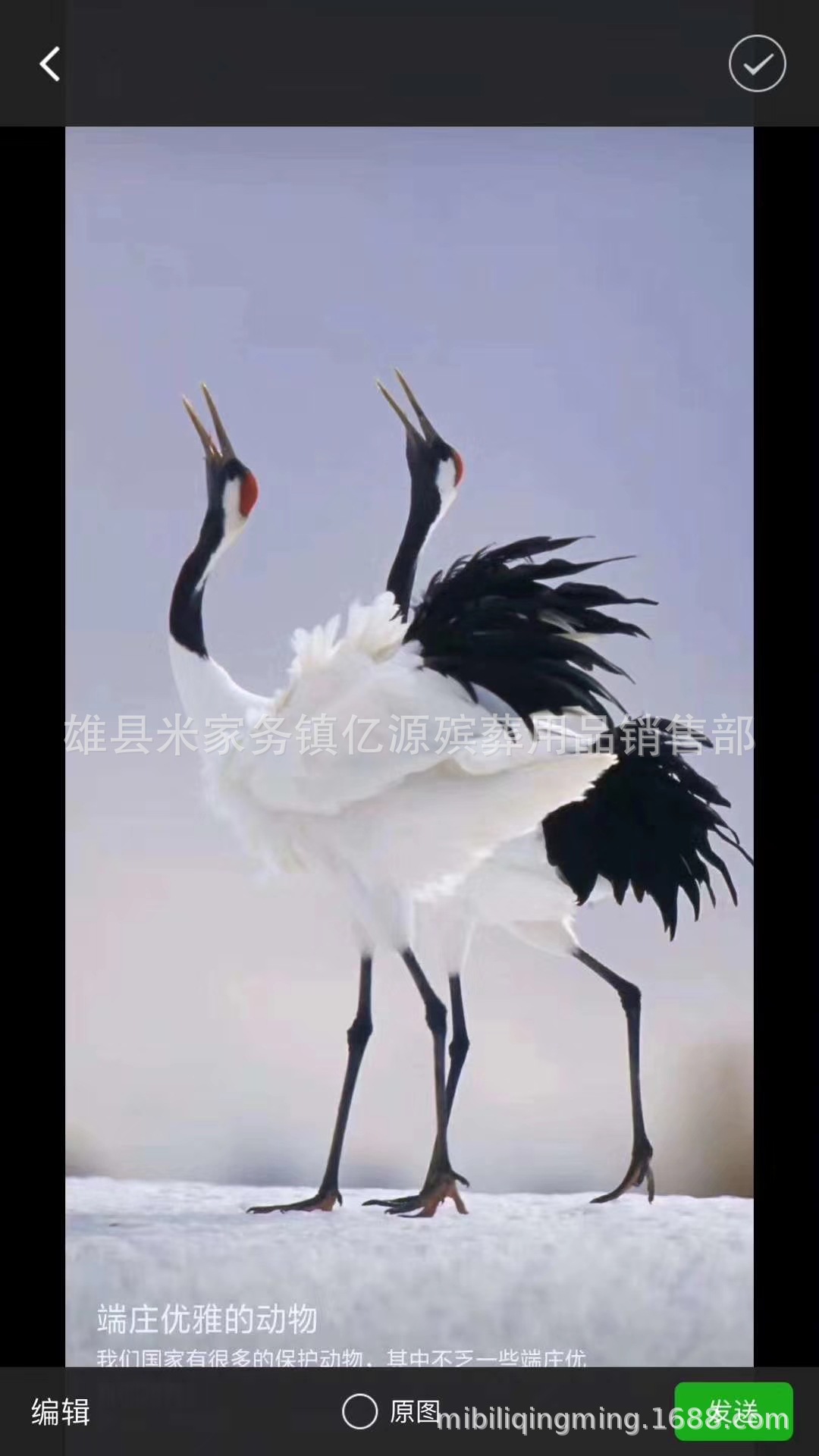 殡葬纸活花圈材料 纸仙鹤 亿源殡葬用品批发 厂家直销