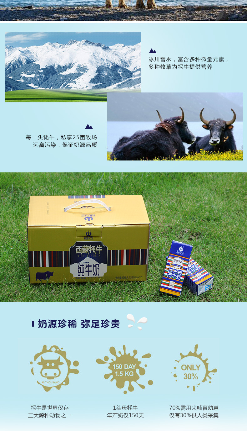 高原之宝 西藏牦牛纯牛奶 200ml*12盒 牦牛奶 厂家直供西藏纯牛奶