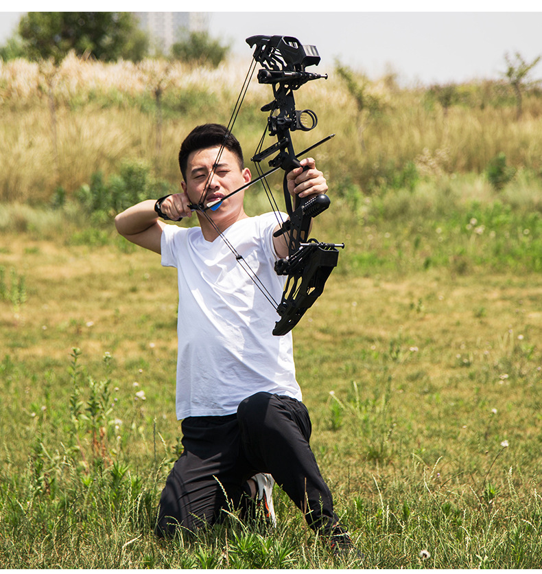 新款两用弓2合金版射箭钢珠两用滑轮复合弓猛禽夜刃弓箭钢珠弓2用