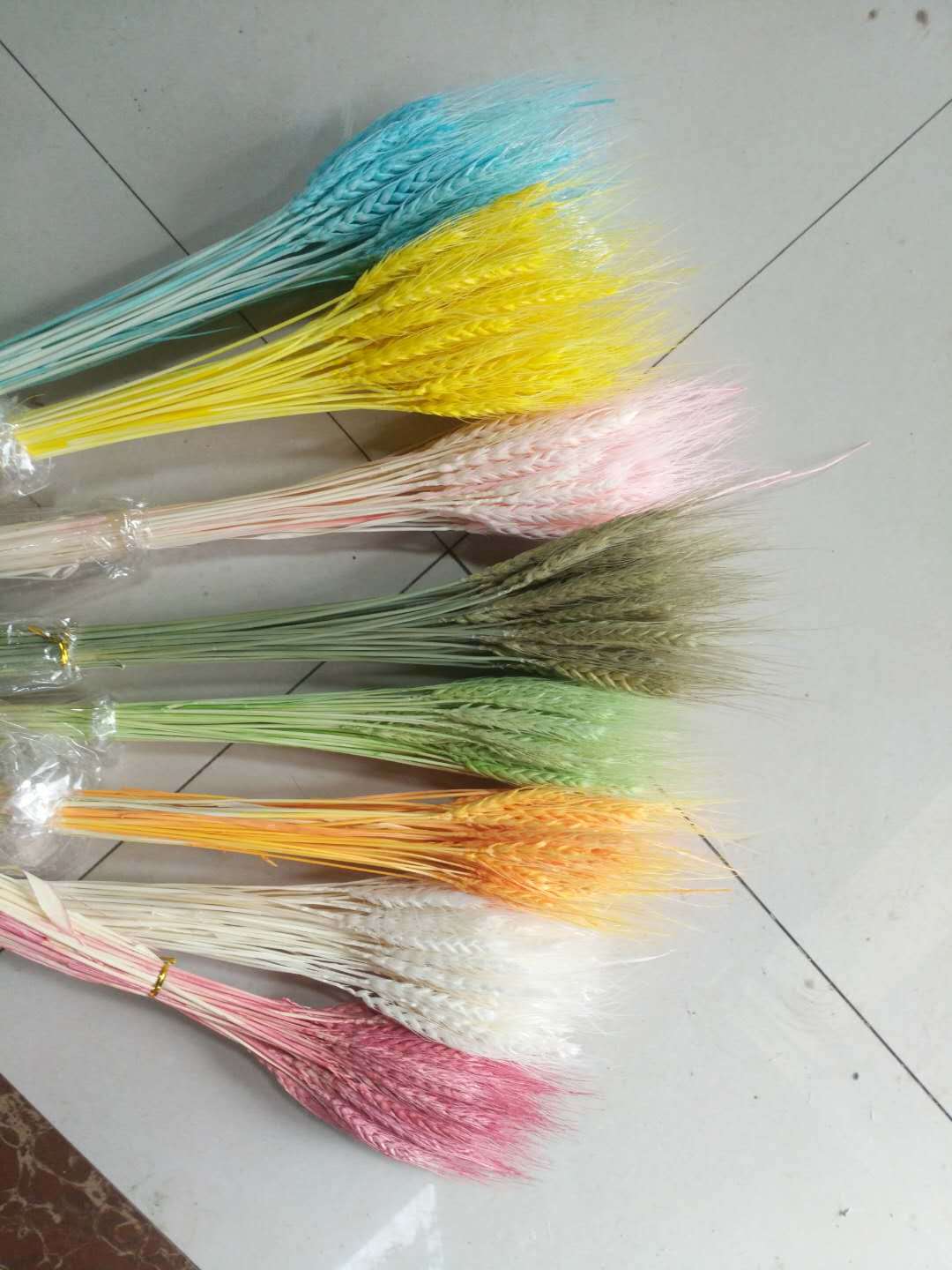 小麦 艺术麦穗 麦子干花 天然植物干花