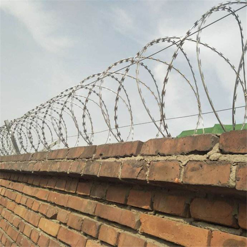 刀刺防护网 围墙防盗刺 镀锌刀片刺丝-阿里巴巴