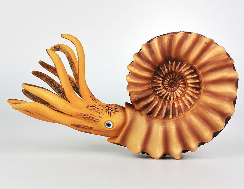 新款仿真鹦鹉螺模型海洋软体生物动物模型塑胶儿童玩具男女孩摆件