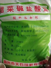 现货供应饲料添加剂甜菜碱盐酸盐 25公斤装物流发货