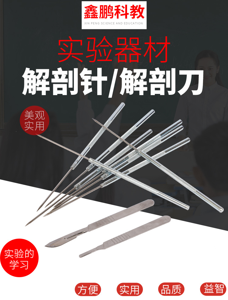 厂家直销解剖刀 解剖针 生物实验器材 教学仪器 解剖针