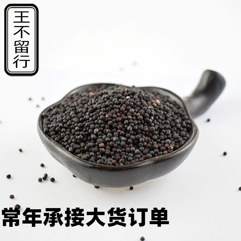 供应王不留行子散装马不留王不留行籽i