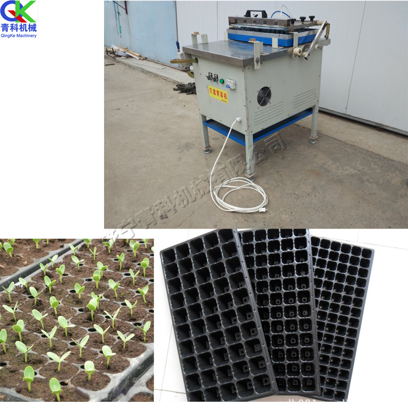 托盘育苗盘播种机 苗木穴盘林木育苗盘快速穴播设备 一小时700盘