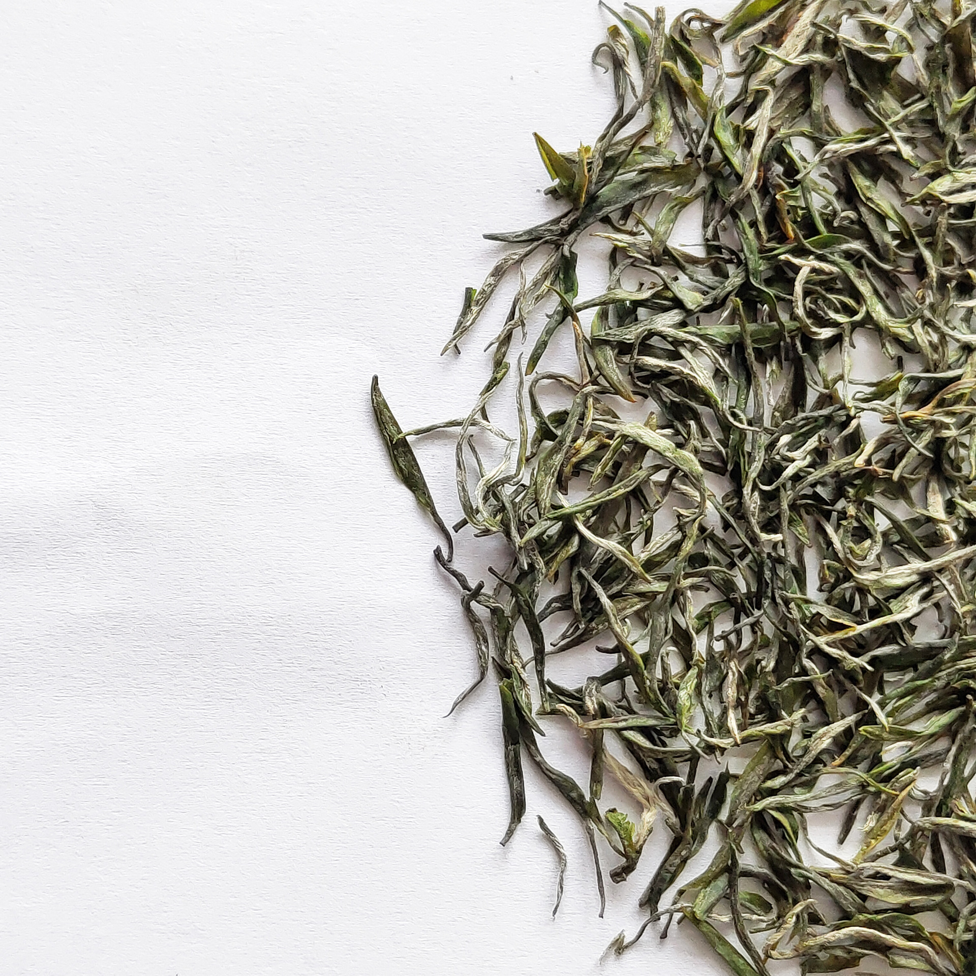 供应 有机绿茶特级 绿针铁罐预包装 有机绿茶