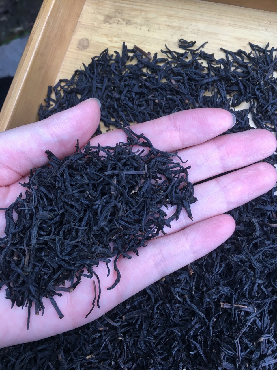 浙江源头厂家2021年正山小种红茶香气好 味浓醇正