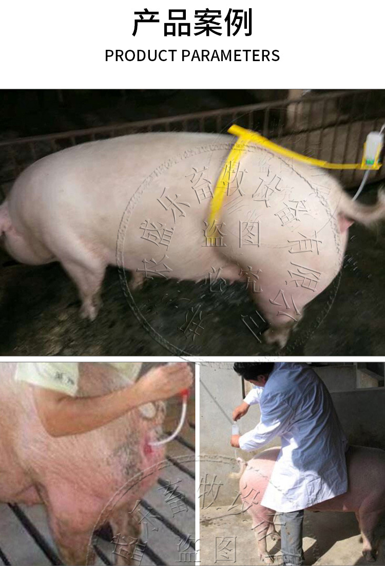 猪用输精管 一次性输精管瓶人工受精瓶子 母猪输精瓶猪用输精背夹