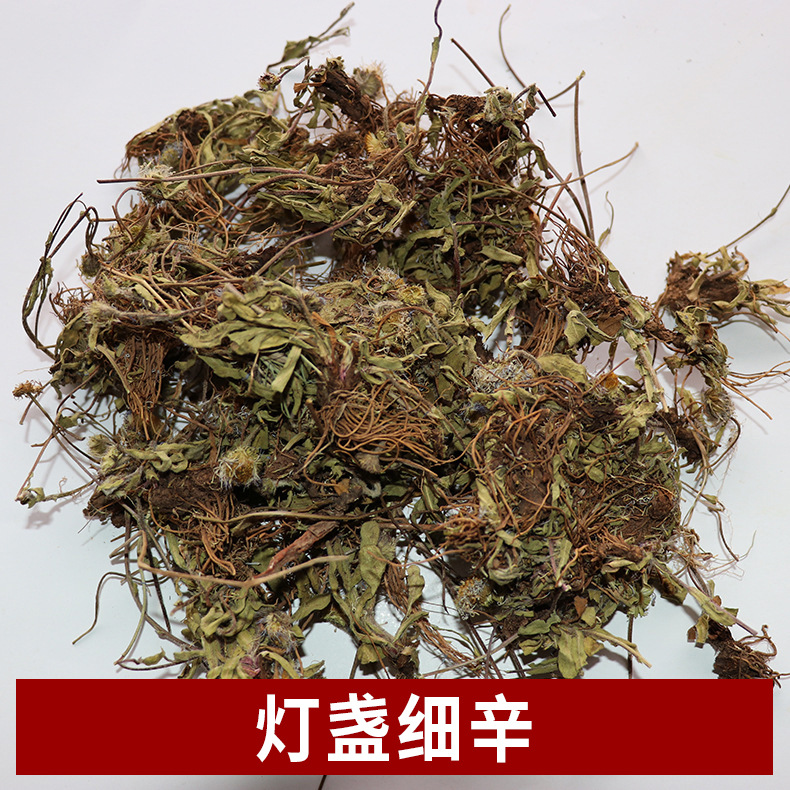 云南中药材灯盏花(灯盏细辛) 中药材细辛 家种灯盏细辛