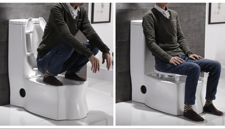 蒂雅妮陶瓷家用蹲坐双用马桶坐便器可蹲可坐两用虹吸式蹲便器