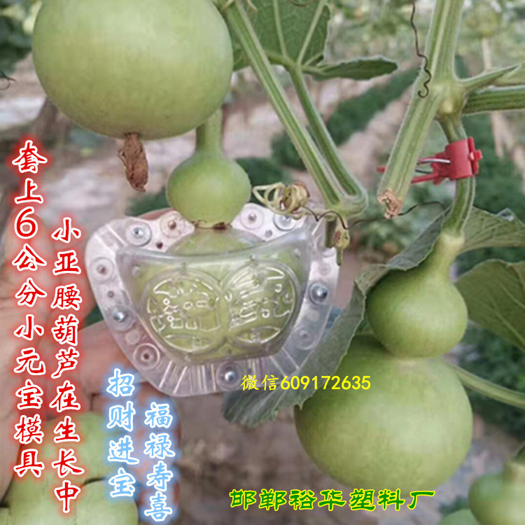 4公分袖珍文玩小元宝范制招财葫芦定型手捻百香果人参果塑料模具