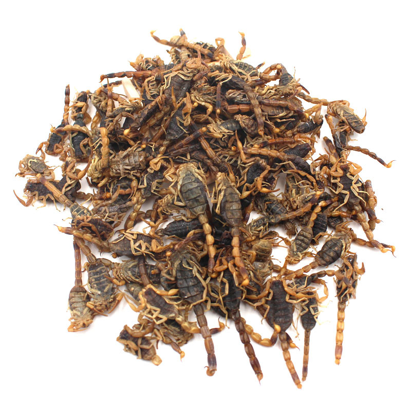 中药全蝎批发中药材厂家全虫现货批发黑蝎子淡盐全虫蝎子批发