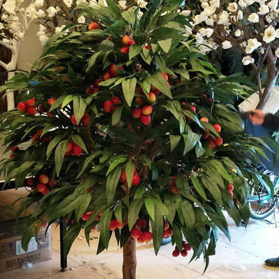 仿真荔枝树果实累累造型逼真精美人造风景树假树公园酒店摆放定制