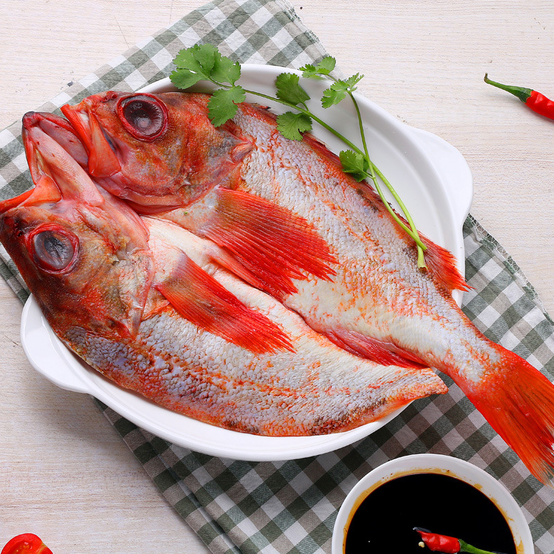冰鲜调味红鱼冷冻海鱼批发调味红鱼冷冻批盐鲜红鱼酒店特色菜