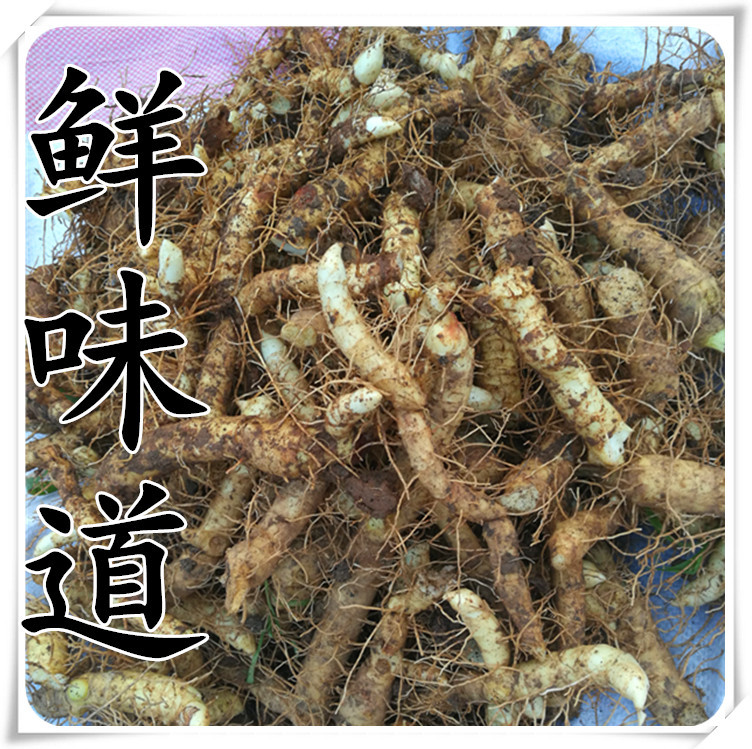 现挖农产品新鲜玉竹参煲汤秋冬精品湘玉竹条生鲜