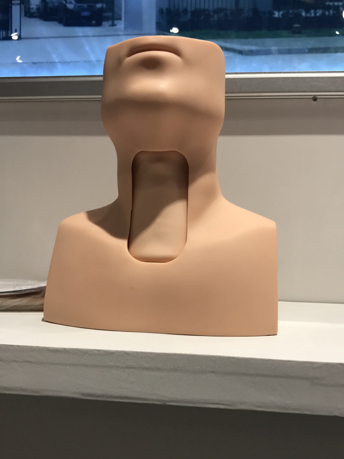 环甲膜穿刺及气管切开插管训练模型 成人气管切开插管模型