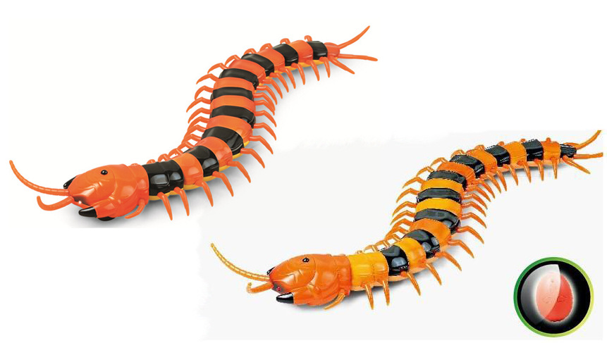 跨境整蛊玩具 遥控蜈蚣 电动玩具 仿真动物 动作逼真热卖