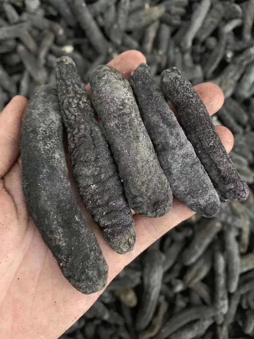 批发 野生大乌条 黑乌海参干货 海味散装 水发酒店滋补食材供应