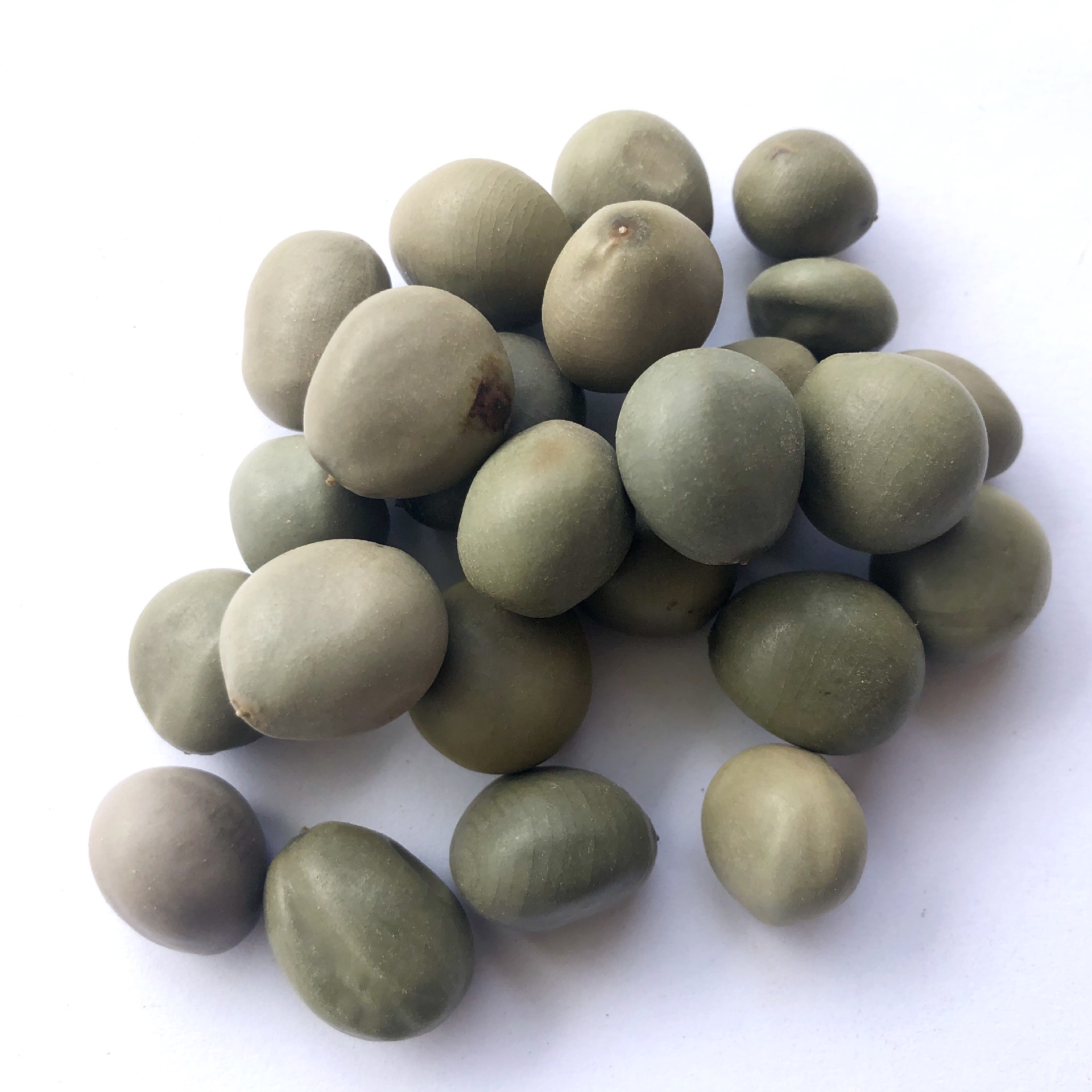 中药材大托叶云实甲木哲马豆朝天子云石