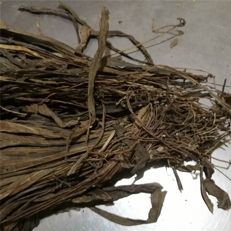 七星草 中药材 金鸡脚 鹅掌金星草 鸭脚草 三叉剑 金桃叶 七星剑
