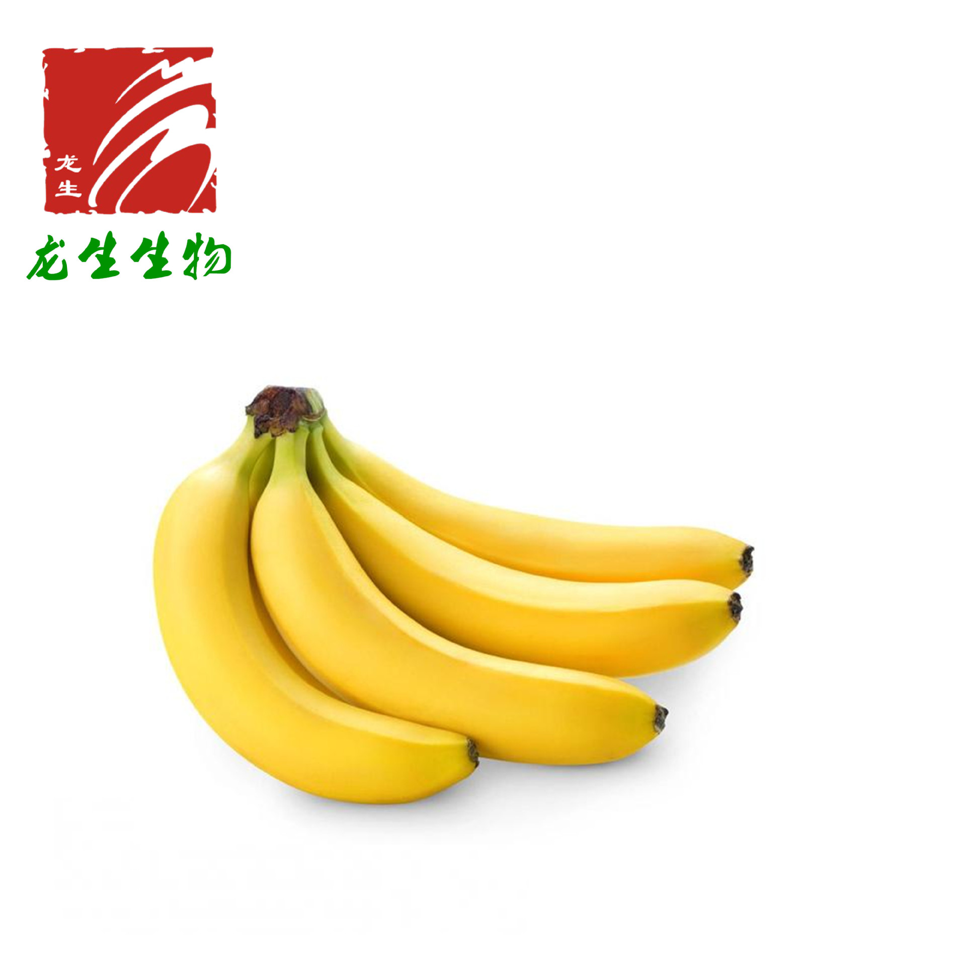 香蕉粉/香蕉果粉99% 喷雾干燥 固体饮料原料粉 果蔬粉现货厂家