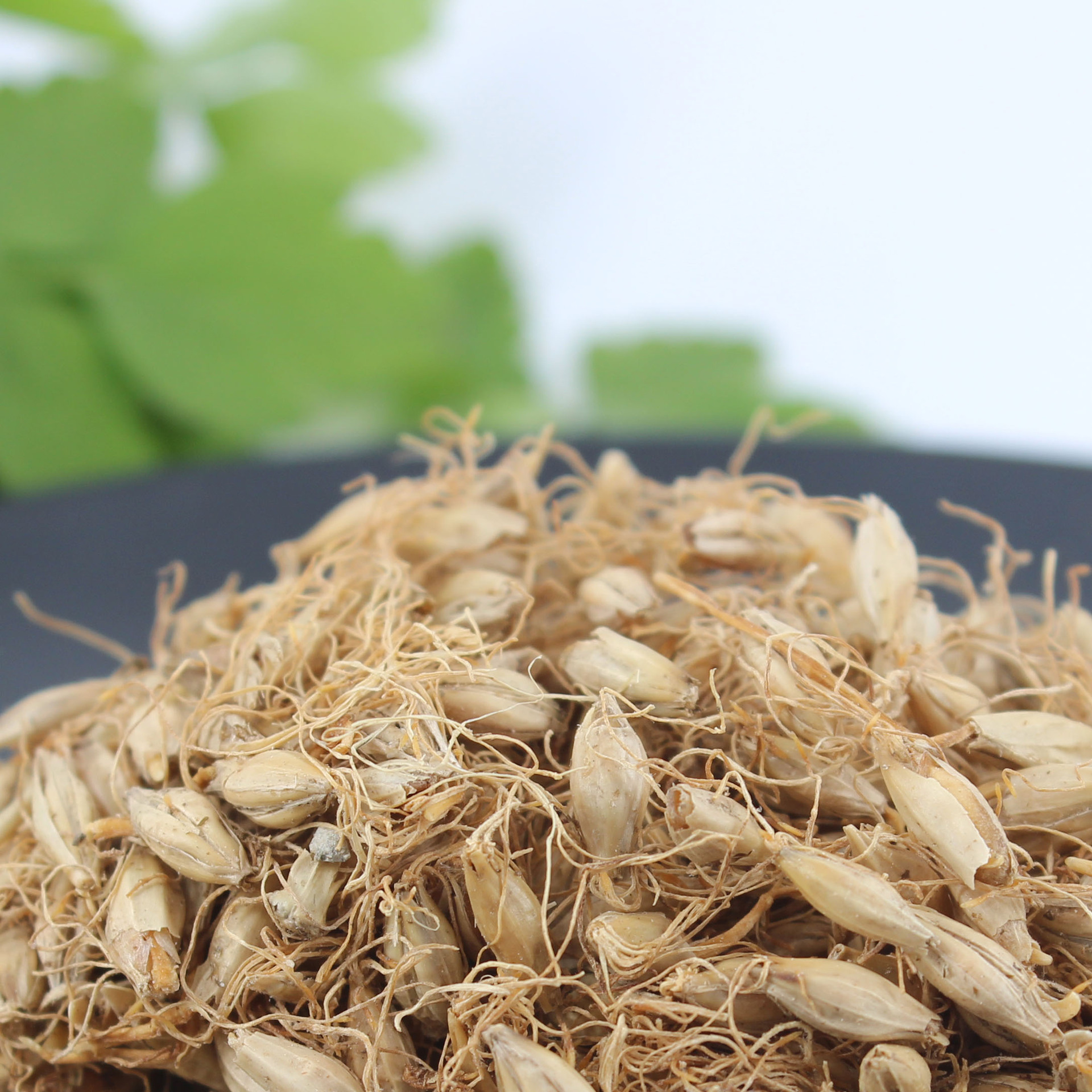 大麦芽批发 四川产地货源 中草药材批发 量大价优 湘起之秀中药行