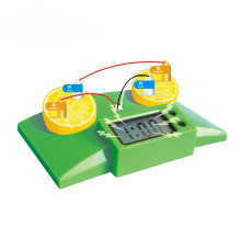 水果发电实验 科技小制作化学原理幼儿园儿童科学实验室教具BD