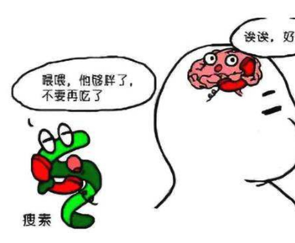 新陈代谢与减肥有什么关系?代谢慢的人怎么瘦?