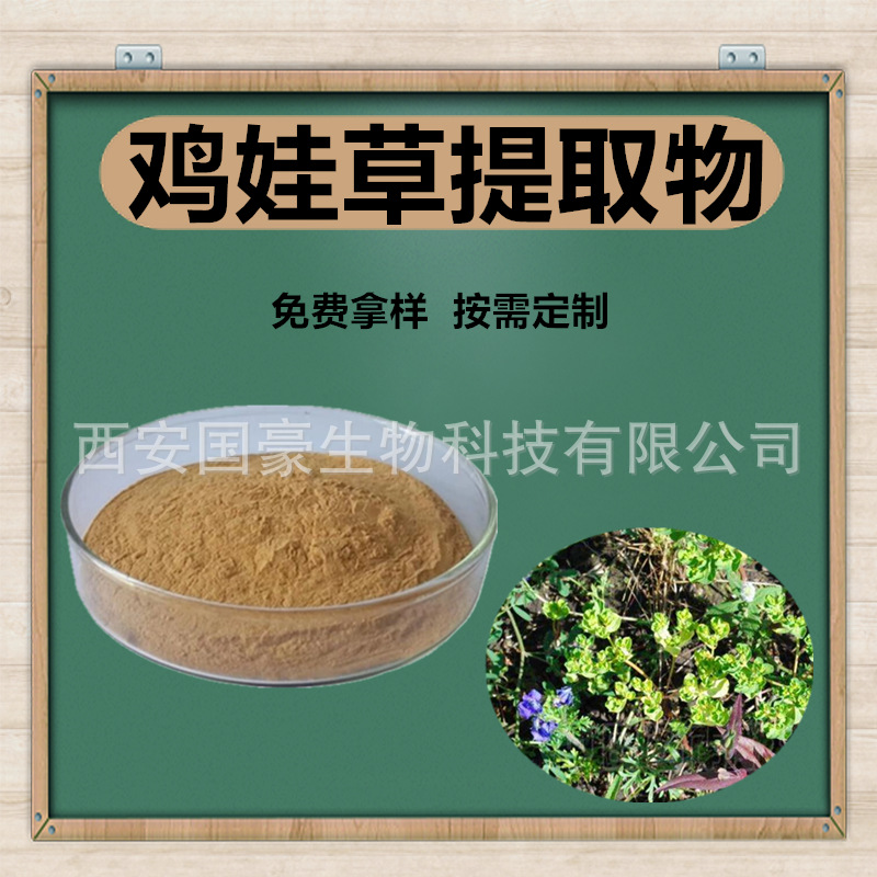 鸡娃草提取物20:1 鸡娃草粉 蓝血草提取物 刺矾松