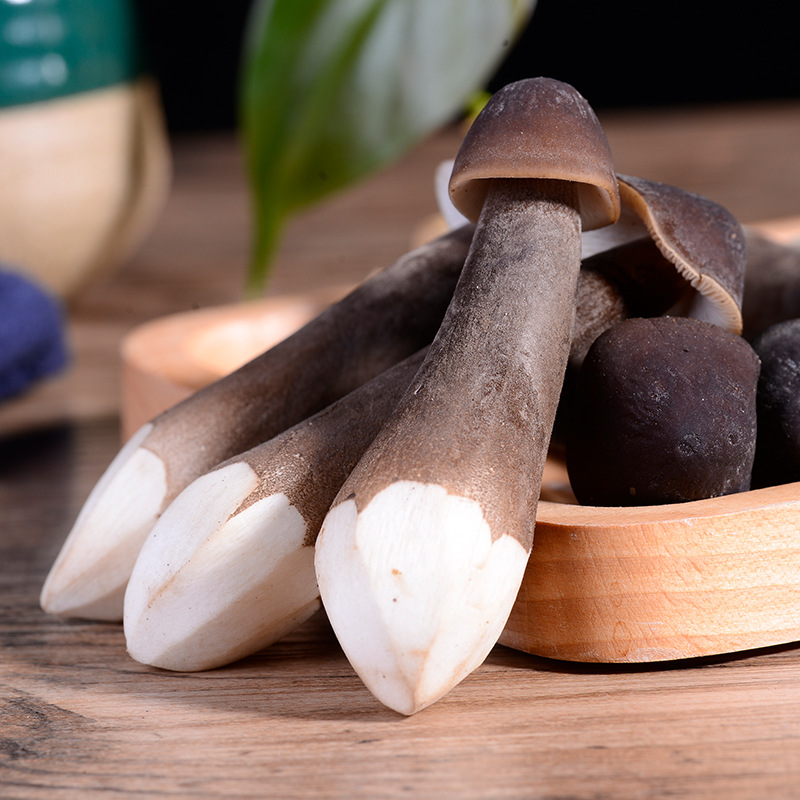 产地销售云南特产黑皮鸡枞菌新鲜鸡枞菌农产品食用菌煲汤食材