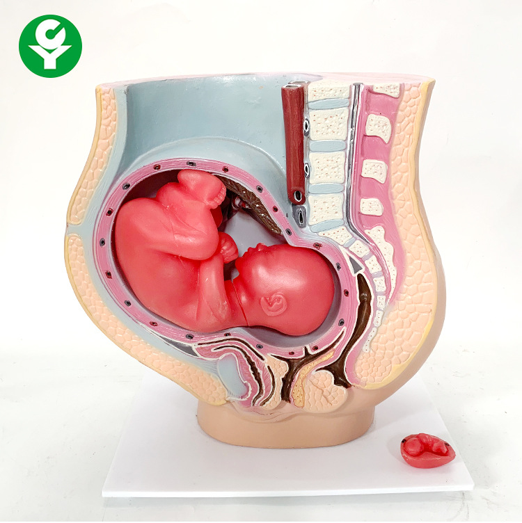 广州市粤勇商贸有限公司