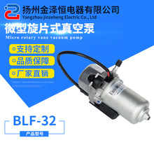 高低速新能源电动汽车用真空泵 功率大 抽气速率快旋片泵BLF-32