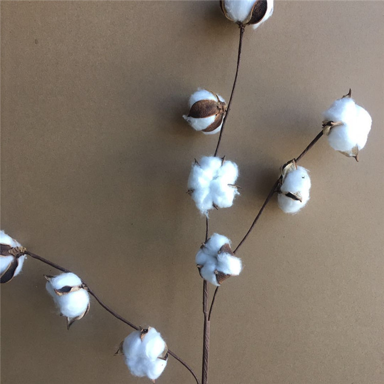 手工铁丝杆9头棉花 艺束插花 家居装饰 拍摄道具