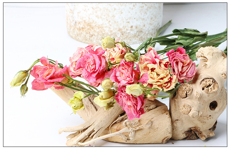 桔梗自然干花真花束花店插花 家居装饰干花 客厅diy插花拍摄道具