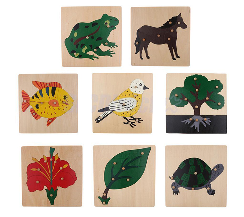 montessori蒙特梭利青蛙平面拼图幼儿园早教手抓嵌板animalpuzzle