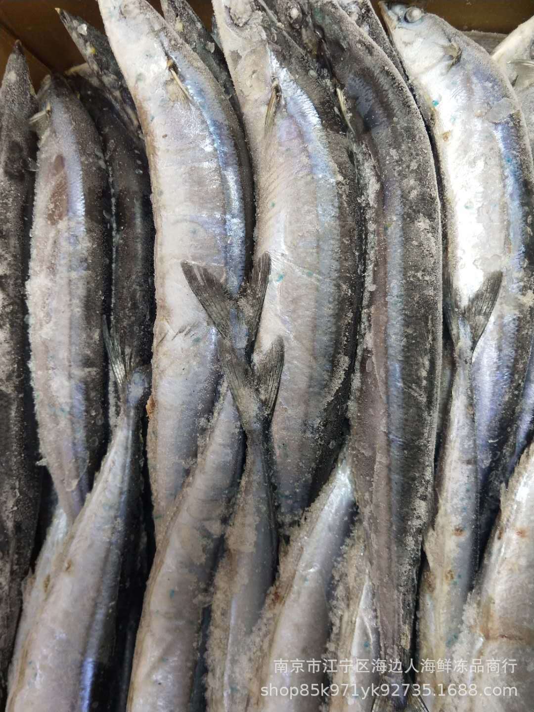厂家一手货直销批发冷冻秋刀鱼鲜冻青鱼速冻秋刀鱼串50件送一件